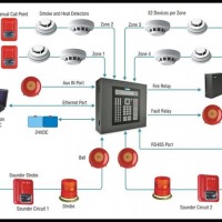 نماینده اصلی asenware